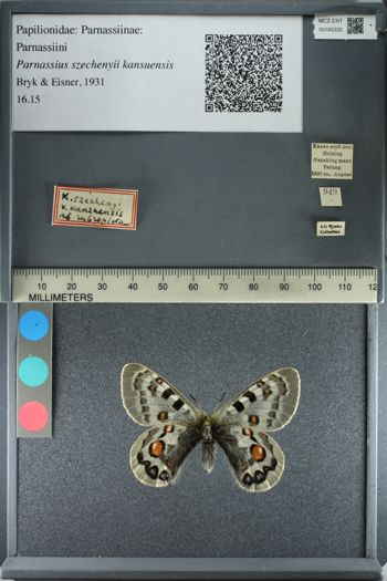 Media type: image;   Entomology 180332